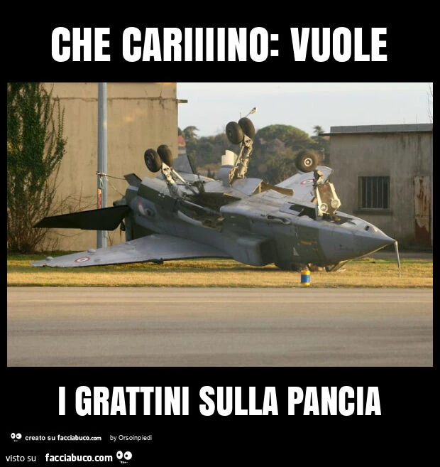 Che cariiiino: vuole i grattini sulla pancia