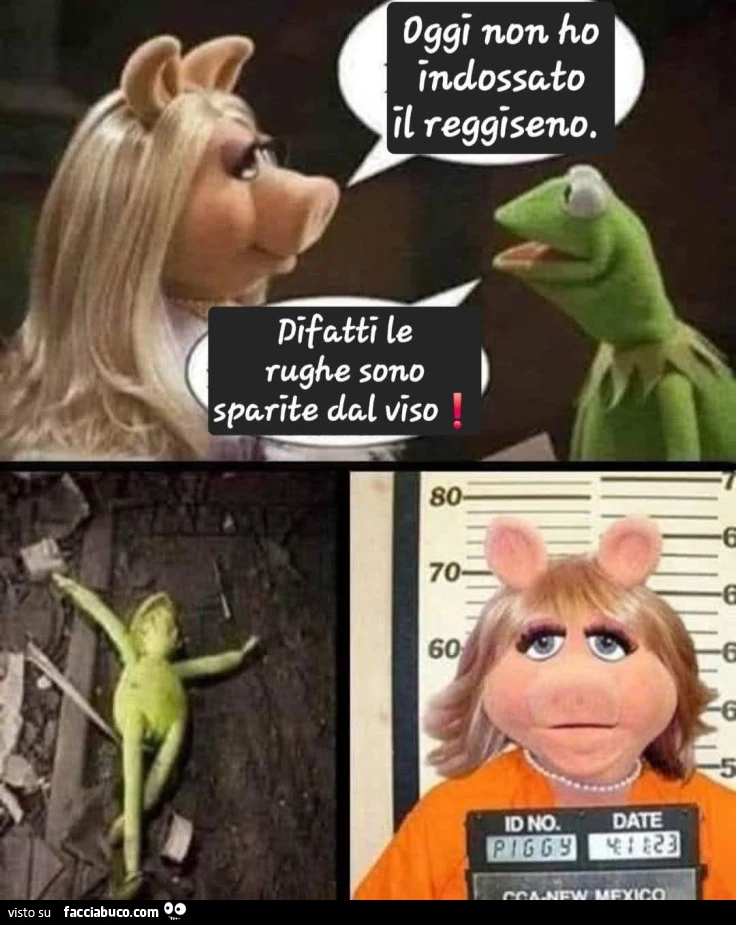 Vaccata