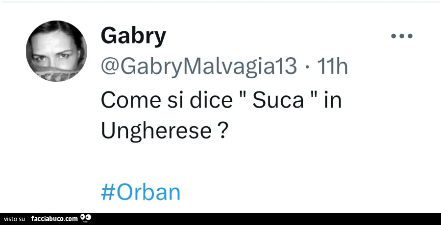 Come si dice suca in ungherese? #Orban