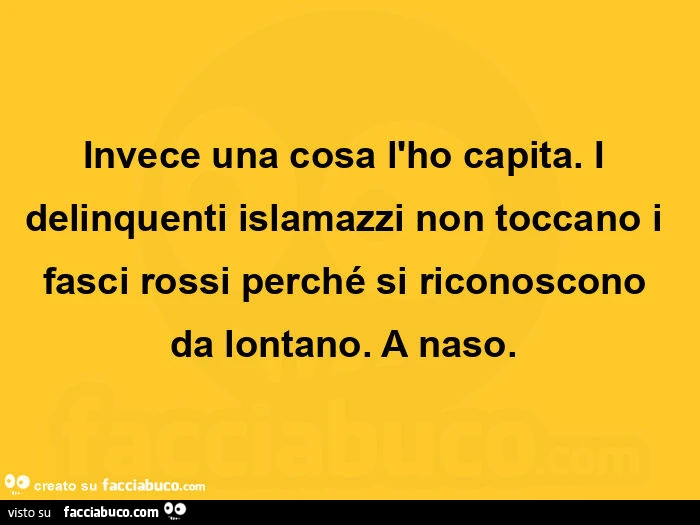 Invece una cosa l'ho capita. I delinquenti islamazzi non toccano i fasci rossi perché si riconoscono da lontano.  A naso.  
