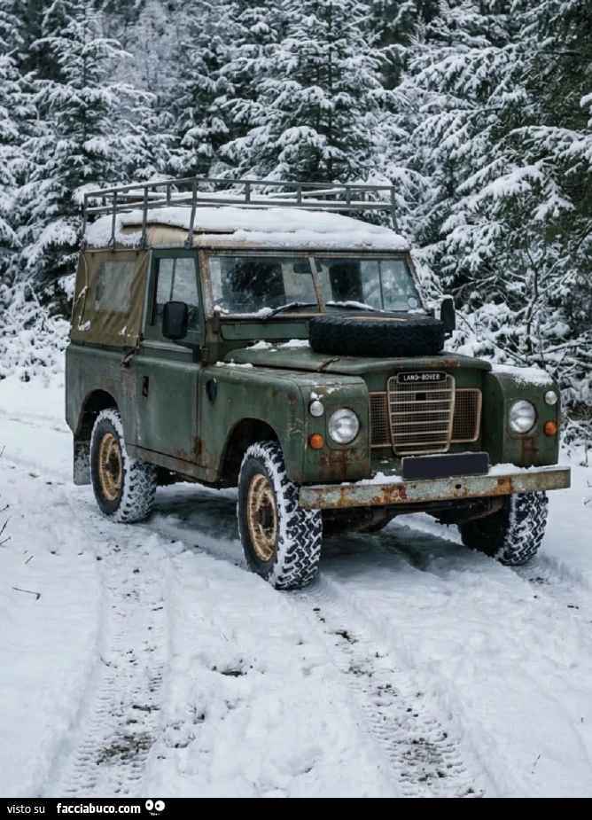 Neve