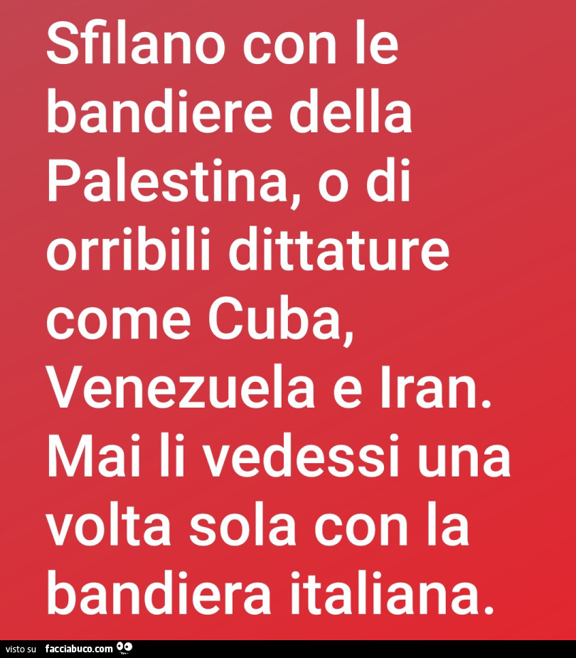 Sfilano con le bandiere della palestina, o di orribili dittature come cuba, venezuela e iran. Mai li vedessi una volta sola con la bandiera italiana