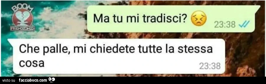 Ma tu mi tradisci Che palle, mi chiedete tutte la stessa cosa