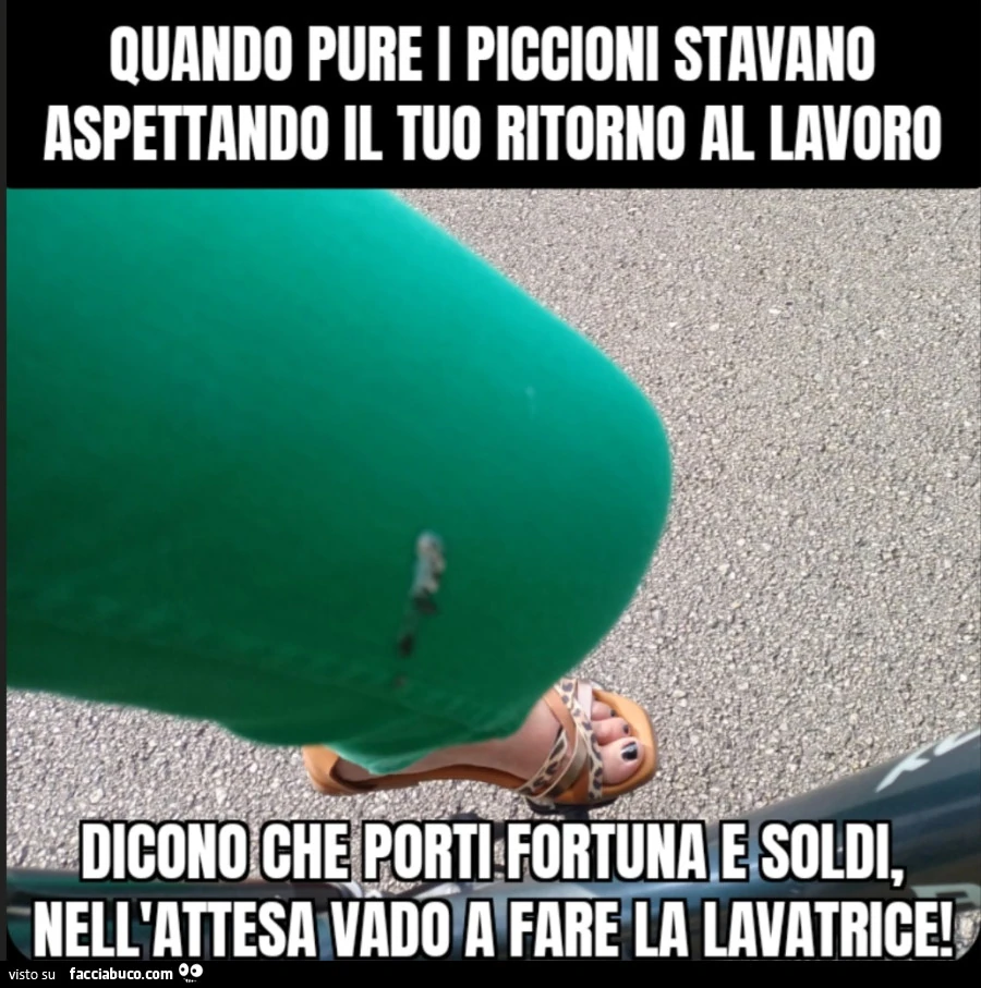 Quando pure i piccioni stavano aspettando il tuo ritorno al lavoro dicono che porti fortuna e soldi nell'attesa vado a fare la lavatrice
