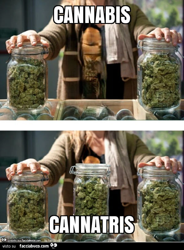 Cannabis cannatris