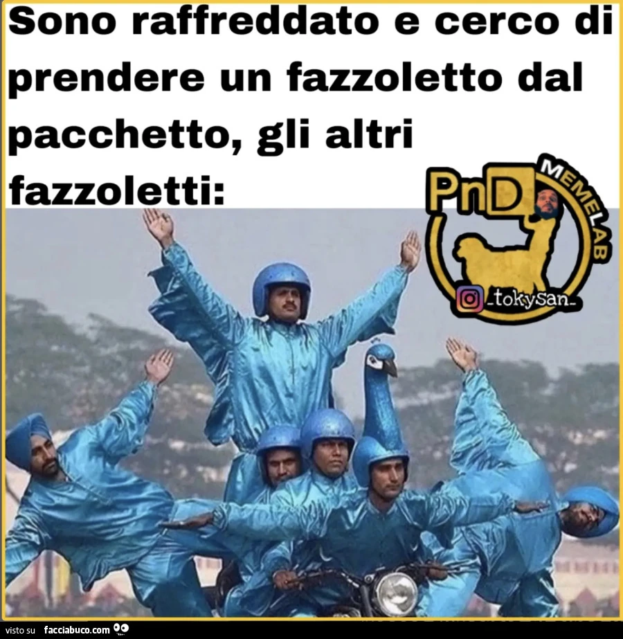 Vaccata