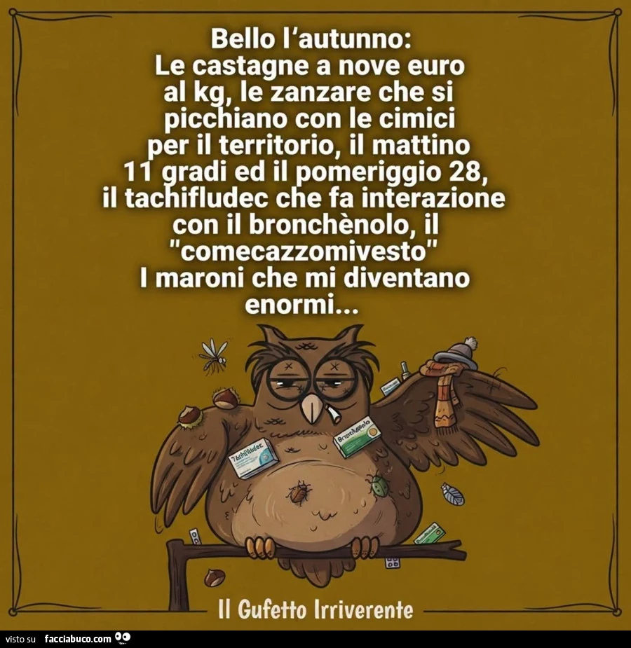 Vaccata