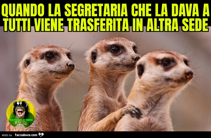 Quando la segretaria che la dava a tutti viene trasferita in altra sede