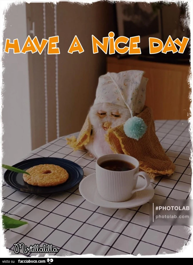 Have a nice day