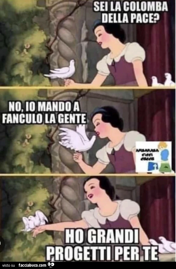 Vaccata