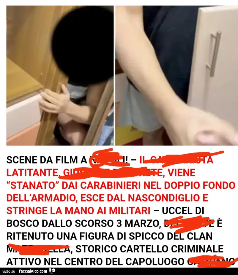 Vaccata