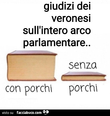 Giudizi dei veronesi sull'intero arco parlamentare. Senza porchi. Con porchi