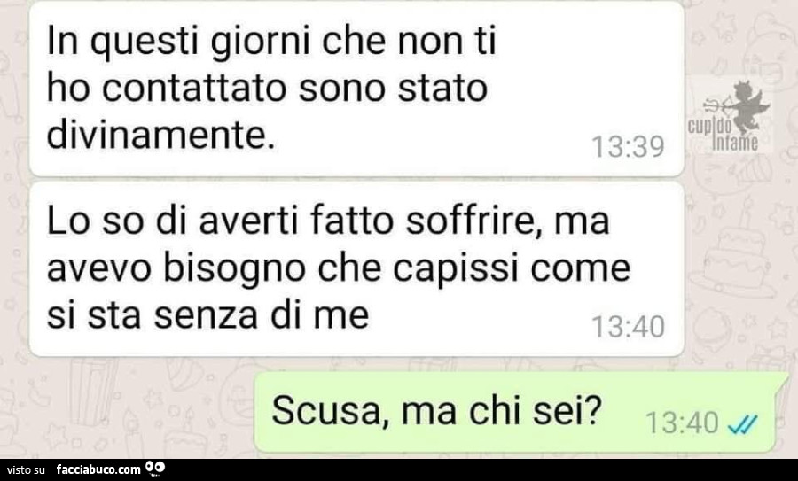 In questi giorni che non ti ho contattato sono stato divinamente. Io so di averti fatto soffrire, ma avevo bisogno che capissi come si sta senza di me. Scusa, ma chi sei?