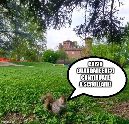 Scoiattoli