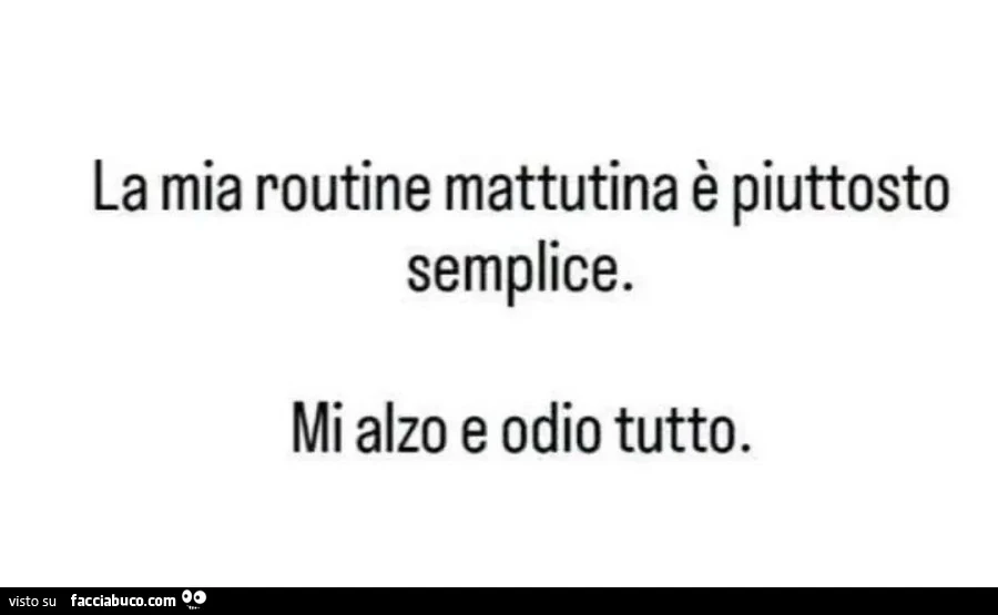 La mia routine mattutina รจ piuttosto semplice. Mi alzo e odio tutto